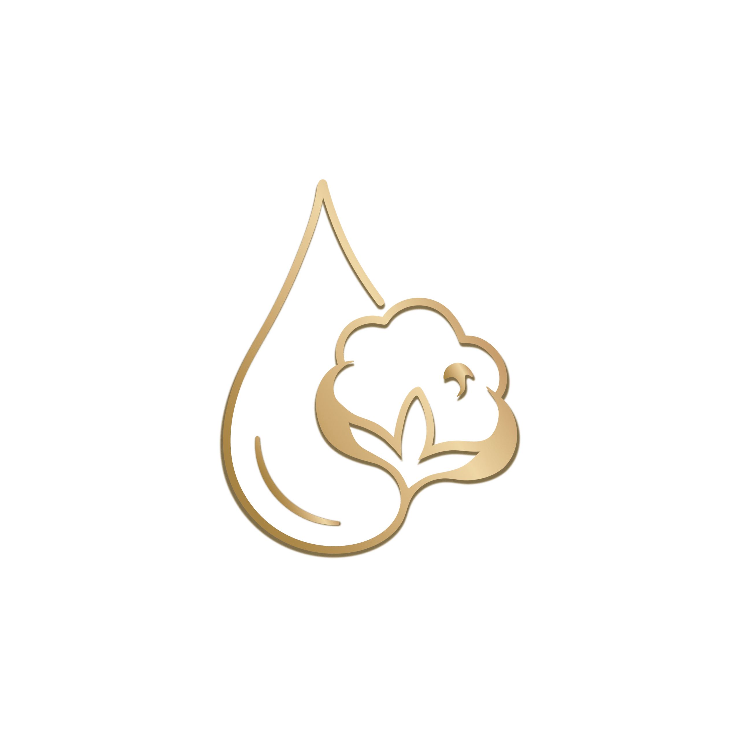 Tasneem Dreams Logo Overlay